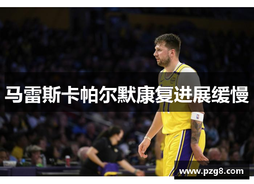 马雷斯卡帕尔默康复进展缓慢